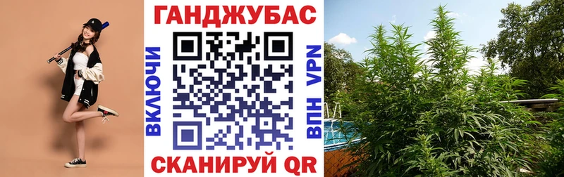 Шишки марихуана MAZAR  Благовещенск 